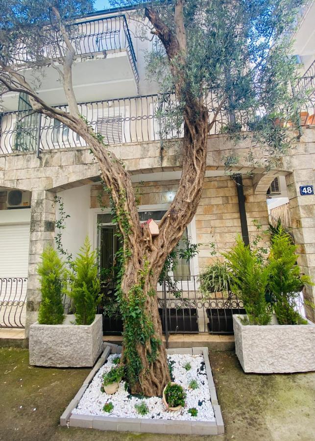Apartment Oliva1 Petrovac Eksteriør bilde